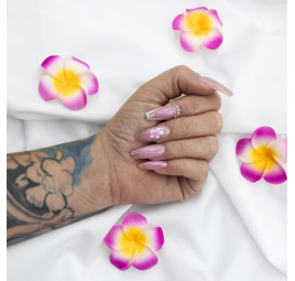 Sakura - Nouvelle Formule
