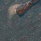 Flocon Pétillant - Réflective Flocon Pétillant - Réflective