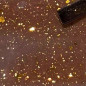 Pétale or marron Pétale or marron