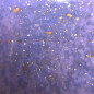 Pétale or Violet
