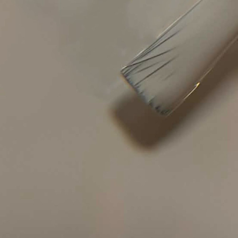 Gris Lumière - Nouvelle Formule