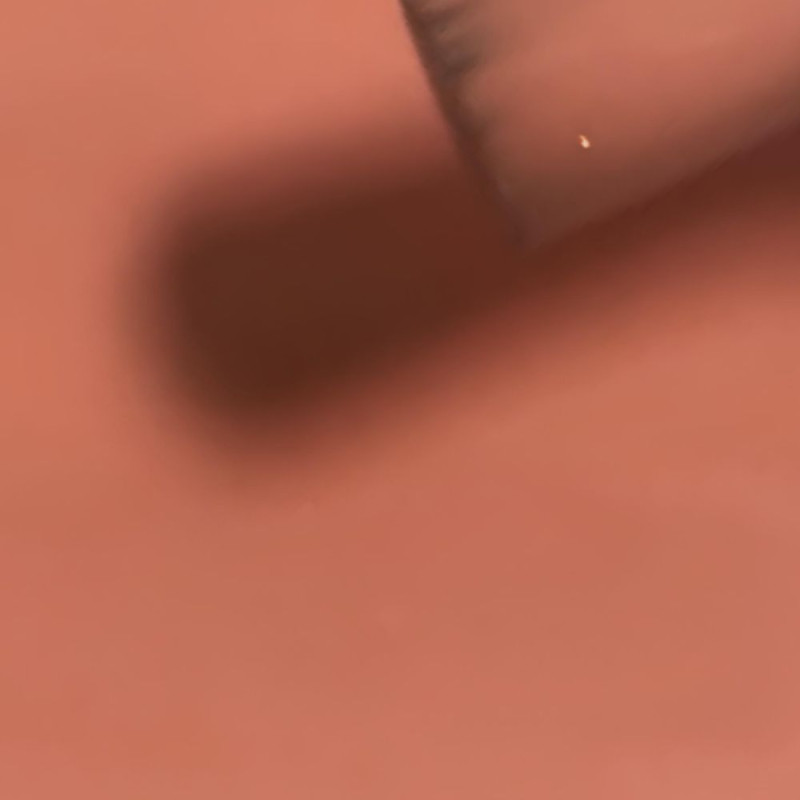 Melon